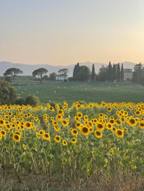 Casa le Rondini Toscana